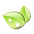 Green City Times APK