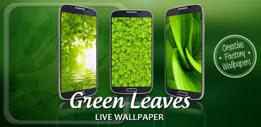 綠葉動態壁紙
