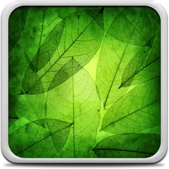download Green Leaves Live Wallpaper APK