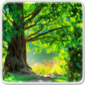 Green Nature Live Wallpaper