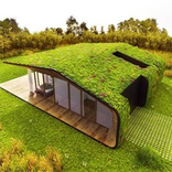 Green Roof Home Design