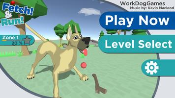 Dog 3D Fetch and Run poster