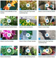 Grow Flowers โปสเตอร์