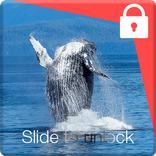 Blue Whale Screen Lock