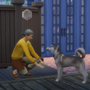 Tips For The Sim 4 Cats And Dogs APK