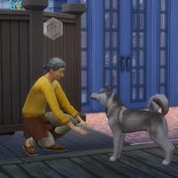 برنامه‌نما Tips For The Sim 4 Cats And Dogs عکس از صفحه