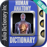 Human Anatomy Dictionary