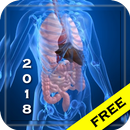 Human Anatomy APK