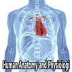 Human Anatomy and Physiology