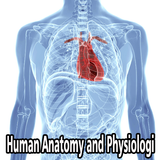 Human Anatomy and Physiology icône