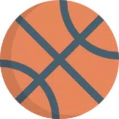 BasketShot - 3D Basketball