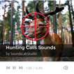 Best Hunting Calls