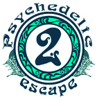 Psychedelic Escape 2 icon