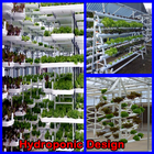 Hydroponic Design ikona