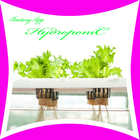 Hydroponic Farm Ideas icon