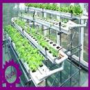system hydroponiczny aplikacja