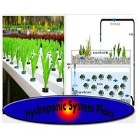 Hydroponic System Plans Affiche