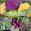 Hydroponics APK