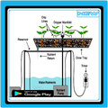 Conception De Systèmes Hydroponiques