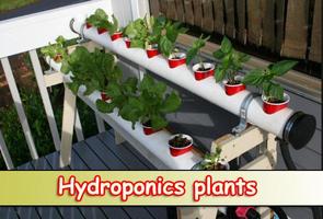 Hydroponics plants poster