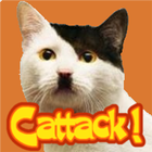 Cattack icône