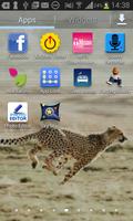 Leopars HD Wallpapers Affiche