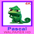 HD Animal Pascal wallpaper icône