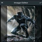 Black Panther HD Wallpapers icône