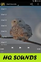 Owl Sounds โปสเตอร์