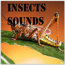 Insects Sounds APK