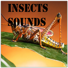 Insects Sounds ไอคอน