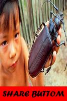 Insects Sounds ภาพหน้าจอ 1
