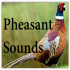 Pheasant Sounds Zeichen