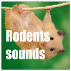 Rodents Sounds icône