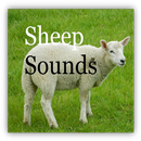 Sheep Sounds APK