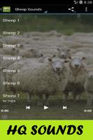 Sheep Sounds capture d'écran 2