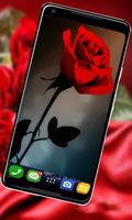 Rose HD New Wallpaper : 4K background ภาพหน้าจอ 3