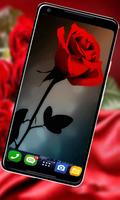 Rose HD New Wallpaper : 4K background imagem de tela 3