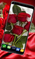 Rose HD New Wallpaper : 4K background ภาพหน้าจอ 1