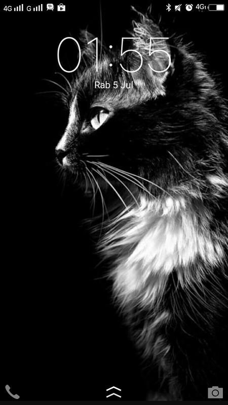 Gambar Wallpaper Kucing Keren - Koleksi Gambar HD