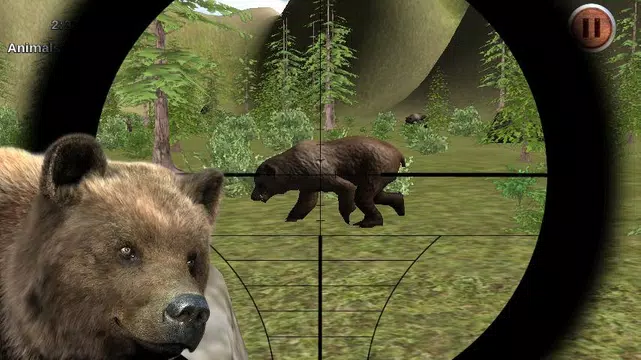 Screenshot 1 for Forest Sniper Bear Hunter