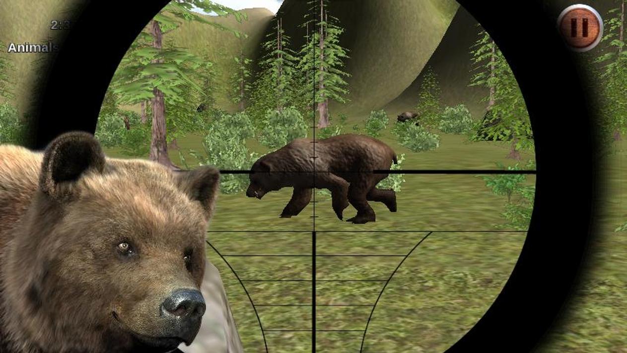 4 медведя игра. Медведь снайпер. Снайпер охотник.