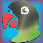 Training Lovebird-icoon