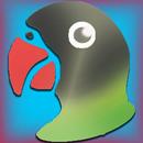 Training Lovebird APK