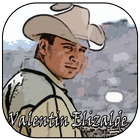 Valentin Elizalde আইকন