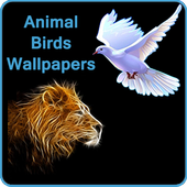 Animal Bird Wallpapers icon
