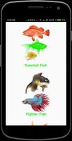 Fish Wallpapers পোস্টার