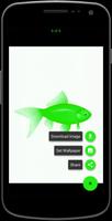 Fish Wallpapers স্ক্রিনশট 2