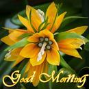 Good Morning Flower Images APK