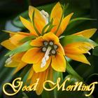 Good Morning Flower Images icône
